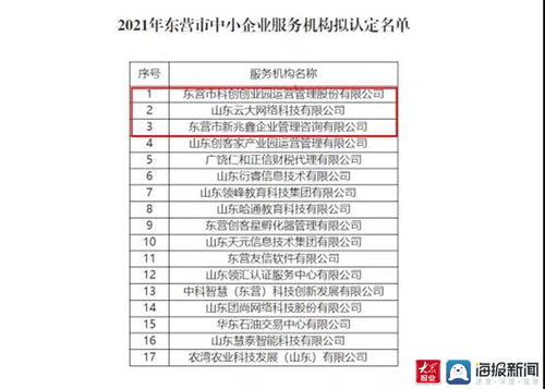 東營高新區再添新翼 三家市級中小企業服務機構獲認定，聚焦計算機軟硬件開發與銷售