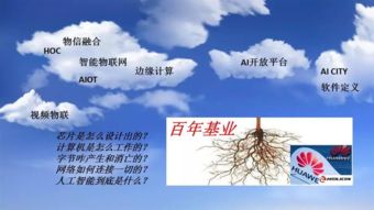 安防芯片 計算機軟硬件融合創新的驅動力與市場洞察