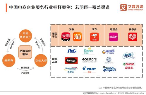 智引未來 2021年中國電商領(lǐng)域企業(yè)服務(wù)行業(yè)信息咨詢服務(wù)深度洞察